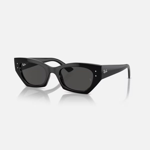 IMG_9479 Ray-Ban RB4430 667/87 Crne Ženske Sunčane Naočare UV Zaštita