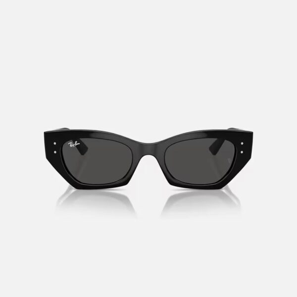IMG_9480 Ray-Ban RB4430 667/87 Crne Ženske Sunčane Naočare UV Zaštita